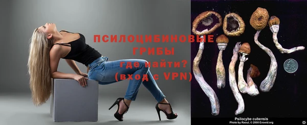 мяу мяу мука Пересвет