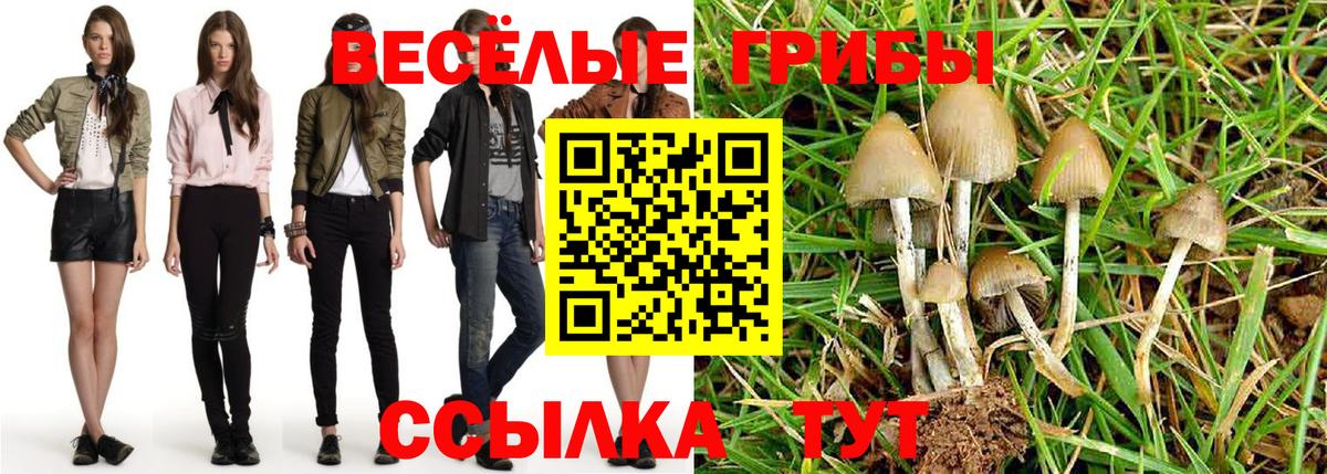 Галлюциногенные грибы прущие грибы Сертолово
